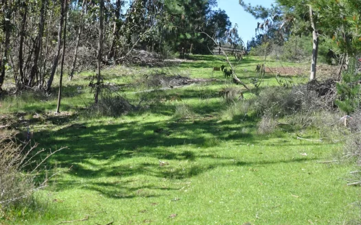 Parcela soñada en Vive Puertecillo