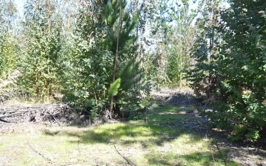 Parcela soñada en Vive Puertecillo