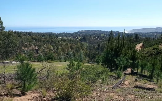 Chorrillos, Pupuya, Matanzas