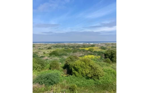 Cahuil, Punta de lobos.