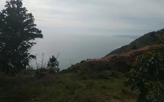 Primera linea Matanzas