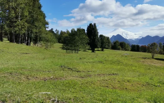 Reserva Quilaco Pucón