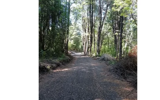 Exclusiva Parcela en Pucón – Bosque Nativo y Alta Plusvalía