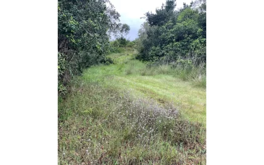 Terreno La vega de pupuya