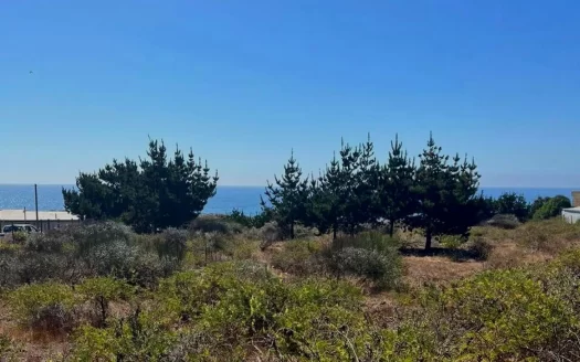 Primera linea Curanipe