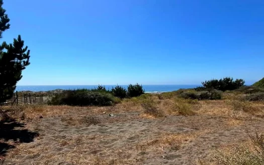 Primera linea Curanipe