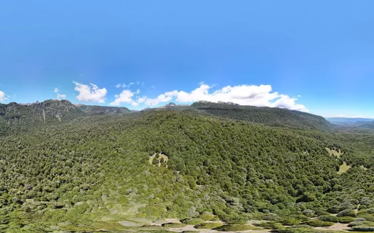 Rinconada de Pucón, en condominio.