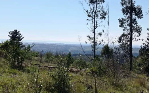 Chorrillos, Pupuya, Matanzas