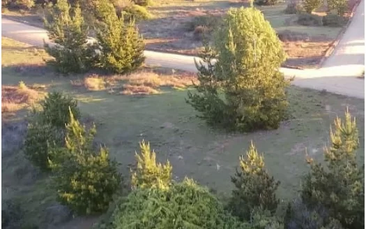 Parcela en vive Puertecillo