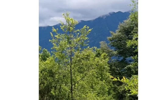 Miradores de Huife, Pucón