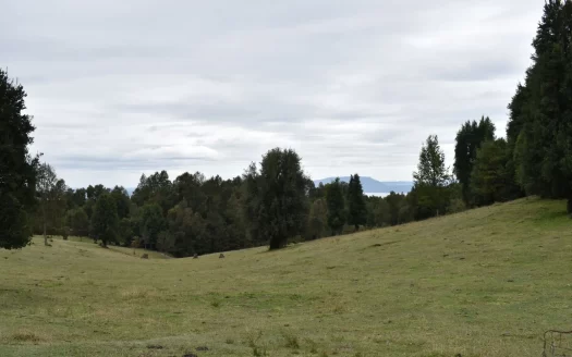 Oportunidad Pucon, venta en verde.