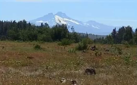 Venta parcela, Río Duqueco.