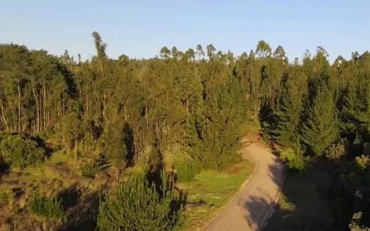 Parcela en vive Puertecillo