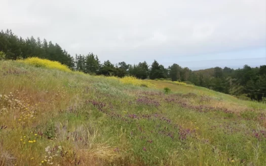 Parcela en Punta de lobos, Pichilemu