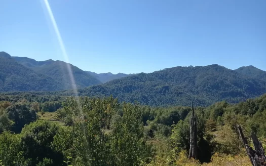 Oportunidad Pucon, venta en verde.