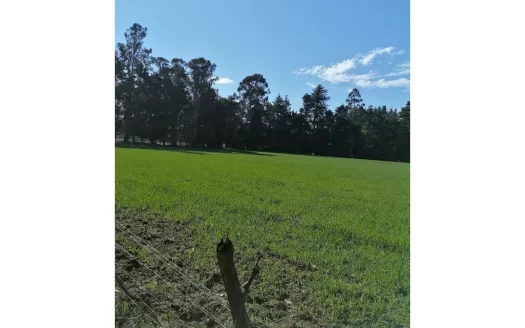 Venta parcela, Río Duqueco.