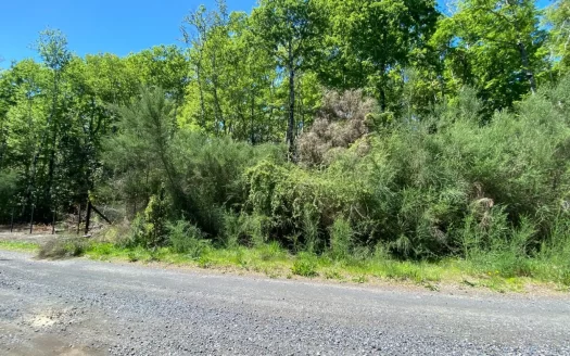 Parcelas Inmejorable ubicación en Pucón