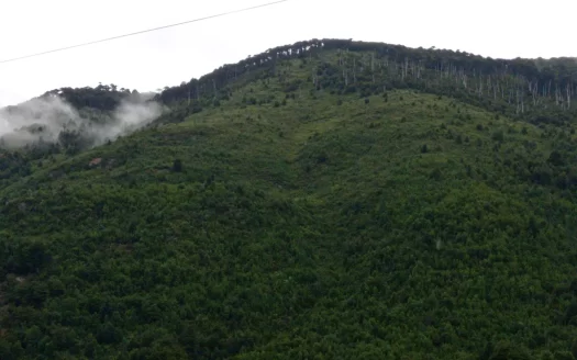 Miradores de Huife, Pucón