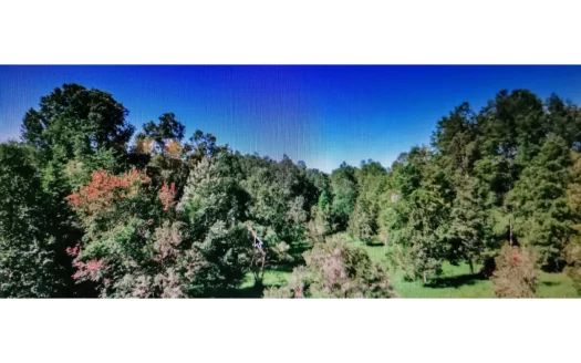 Molco, Villarrica-Pucon